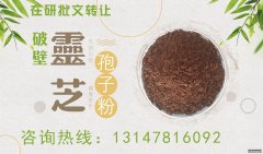 保健食品批文轉(zhuǎn)讓預(yù)訂-破壁靈芝孢子粉-增強(qiáng)免疫